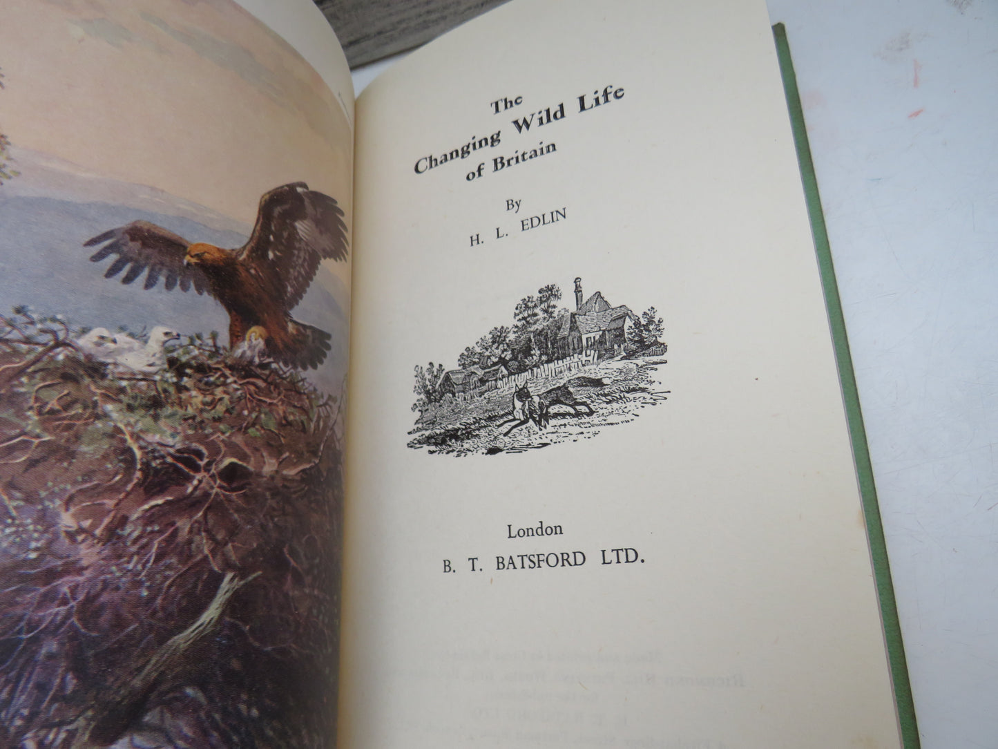 The Changing Wild Life of Britain By H. L. Edlin 1952 1st Edition book image 3
