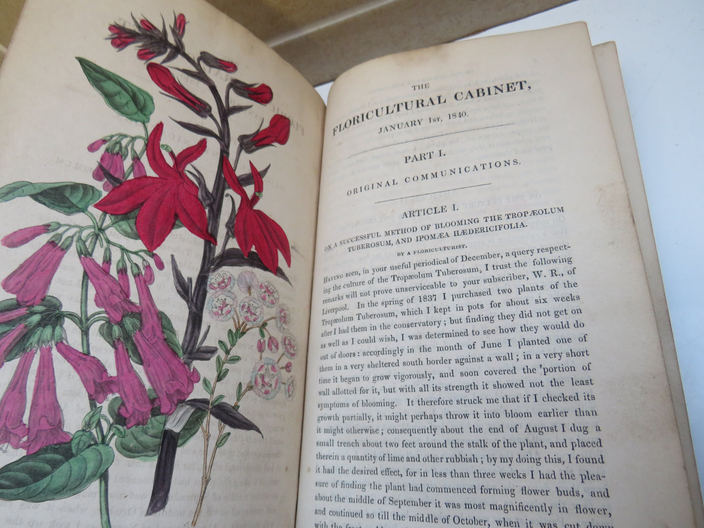 The Floricultural Cabinet and Florist's Magazine Conducted By Joseph Harrison 1840