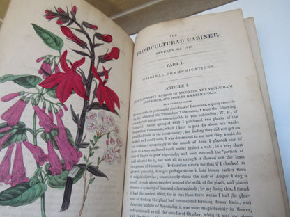 The Floricultural Cabinet and Florist's Magazine Conducted By Joseph Harrison 1840 book image 5