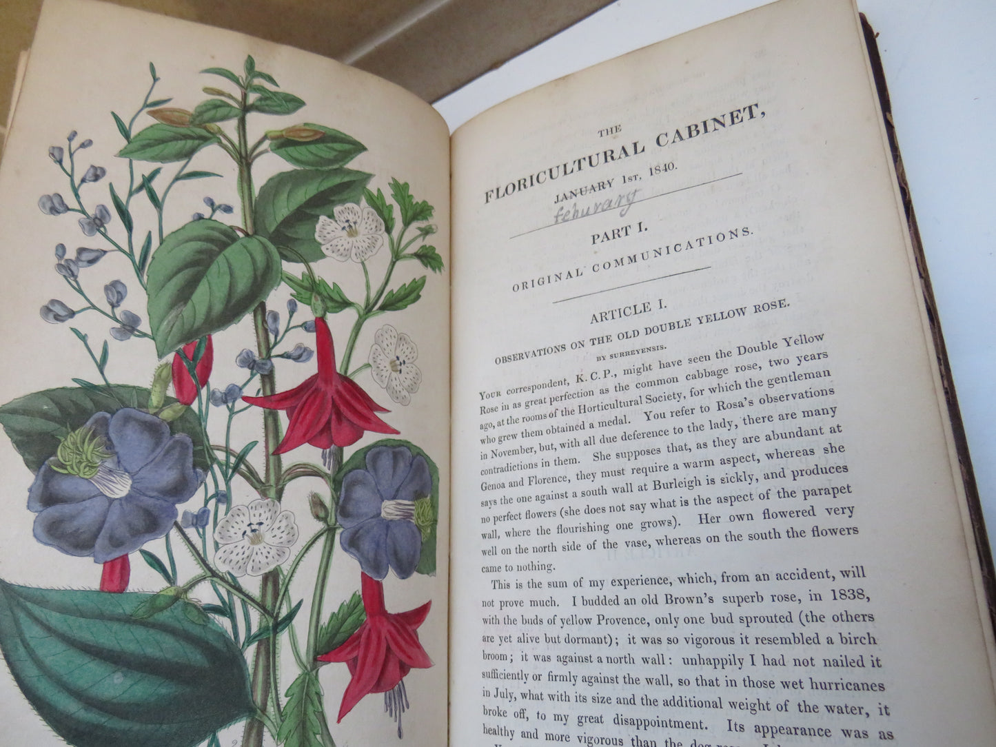 The Floricultural Cabinet and Florist's Magazine Conducted By Joseph Harrison 1840