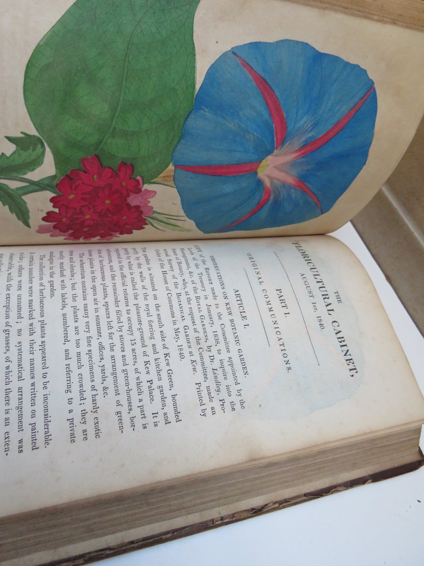 The Floricultural Cabinet and Florist's Magazine Conducted By Joseph Harrison 1840