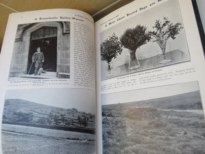 The Bystander 1905, Collated Articles Between 9th May - 6th September 1905 book image 9