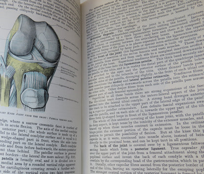 Cunningham's Text-Book Of Anatomy Edited By J.C.Brash and E.B Jamieson 1943 book image 8