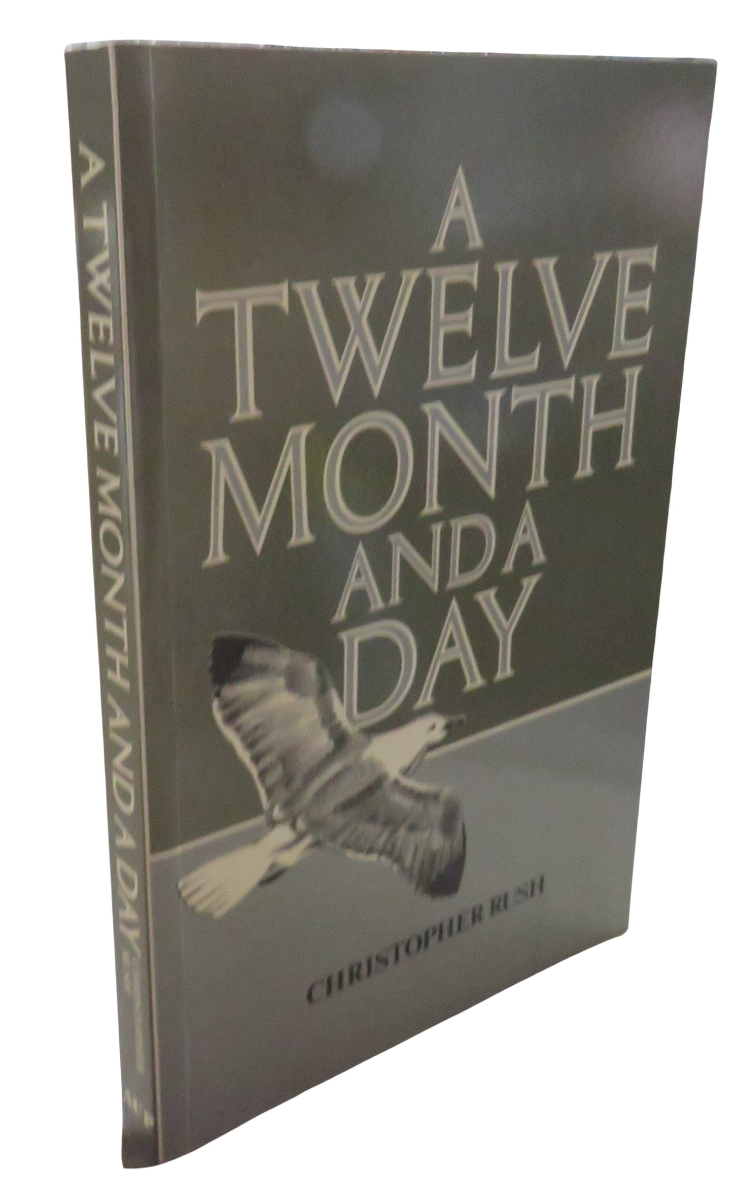 A Twelve-month and a Day By Christopher Rush 1986