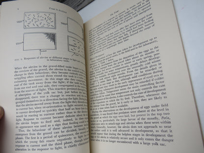 Trout In Scotland A Story of Brown Trout Research At Pitlochry By K.A. Pyefinch 1960