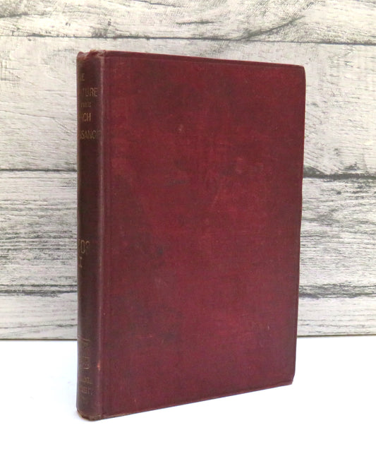 The Literature of the French Renaissance An Introductory Essay By Arthur Tilley 1885 book front cover