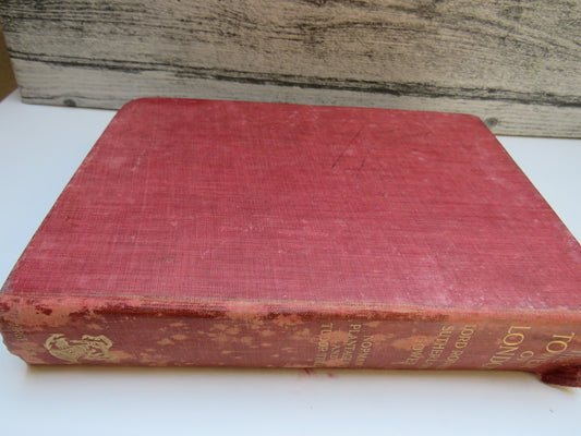 The Tower of London By Lord Ronald Sutherland Gower Vol I 1901