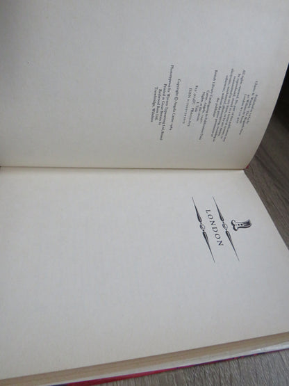 Nights At The Circus By Angela Carter 1984 1st Edition book image 3