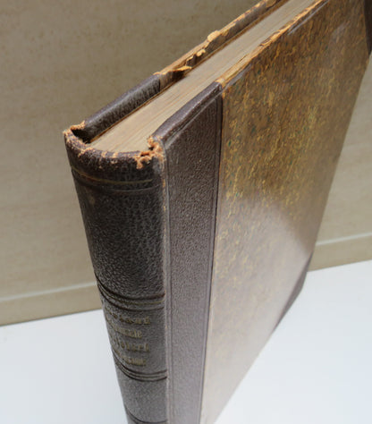 Academia Romana Diagnosele Planteloru Fanerogame Si Criptogame Vasculare 1893 book image 3