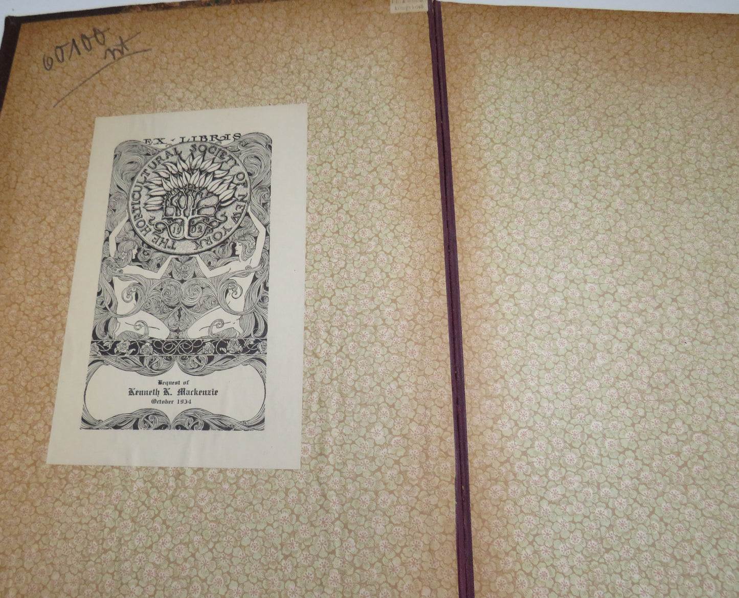 Academia Romana Diagnosele Planteloru Fanerogame Si Criptogame Vasculare 1893