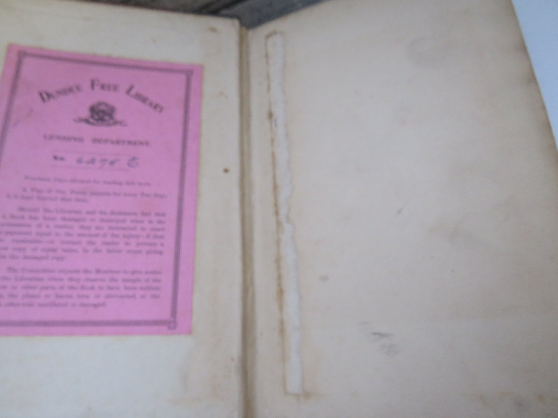 The Adventures of My Life By Henri Rochefort 1896 Volume I book image 4