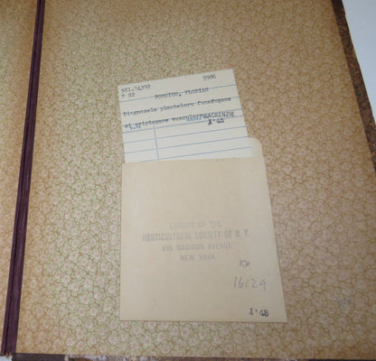 Academia Romana Diagnosele Planteloru Fanerogame Si Criptogame Vasculare 1893 book image 7