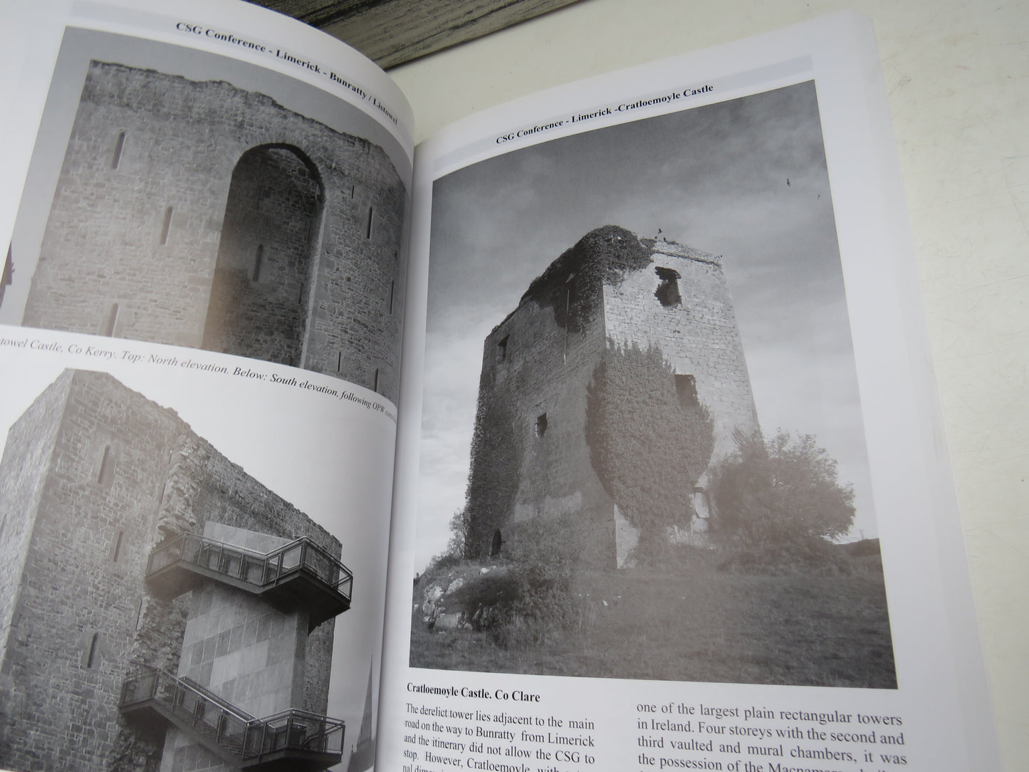 The Castle Studies Group Journal No 23 2009-10