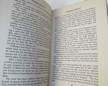 Stories Of Early British Life From The Earliest Times By G.F. Scott Elliot 1923 book image 5