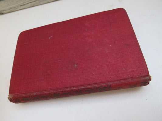 No Man's Island A Novel By J. Allan Dunn book image 2