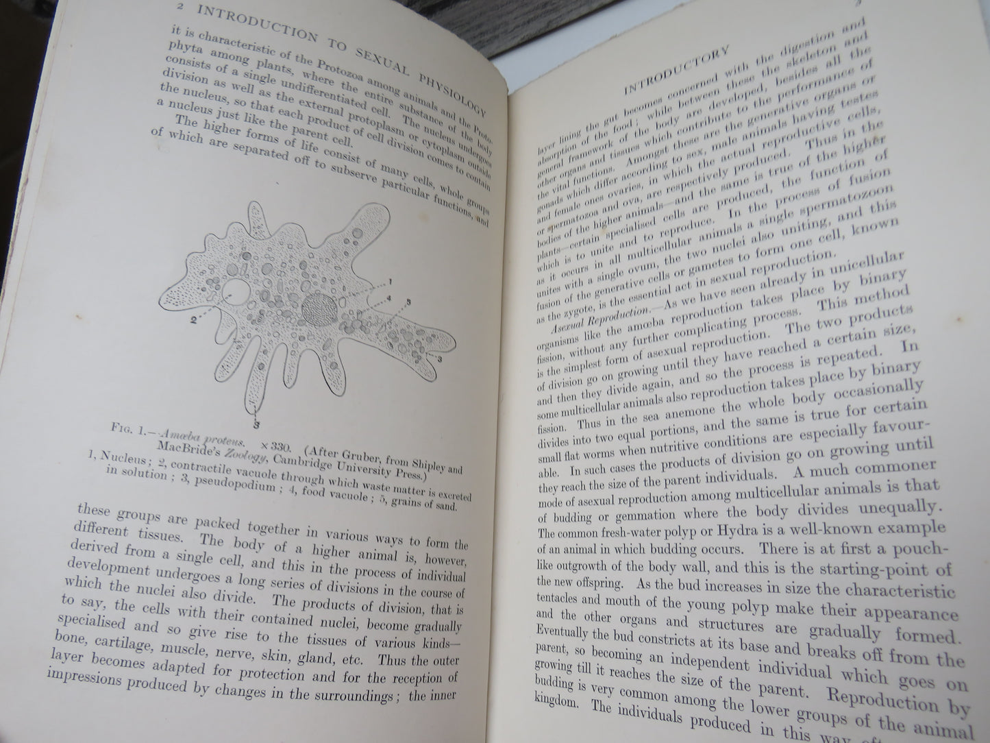 An Introduction To Sexual Physiology For Biological, Medical, and Agricultural Students By F. H. A. Marshall 1925