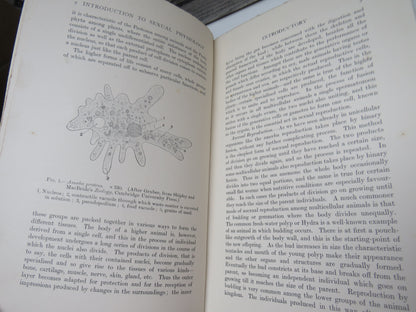 An Introduction To Sexual Physiology For Biological, Medical, and Agricultural Students By F. H. A. Marshall 1925