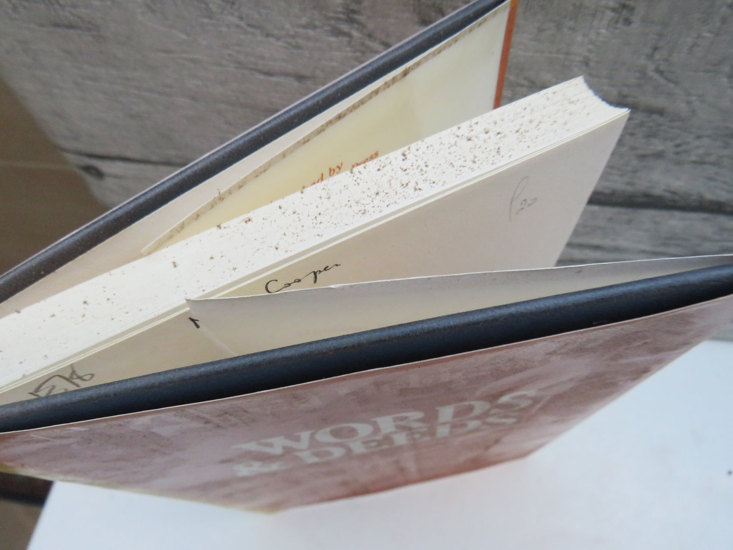 Words and Deeds Problems In The Theory of Speech Acts By David Holdcroft 1978