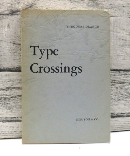 Type Crossings Sentential Meaninglessness In The Border Area of Linguistics and Philosophy By Theodo book front cover