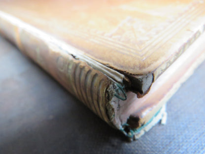 Lacunar Strevelinense A Collection of Heads Etched and Engraved After The Carved Work Which Formerly book image 11