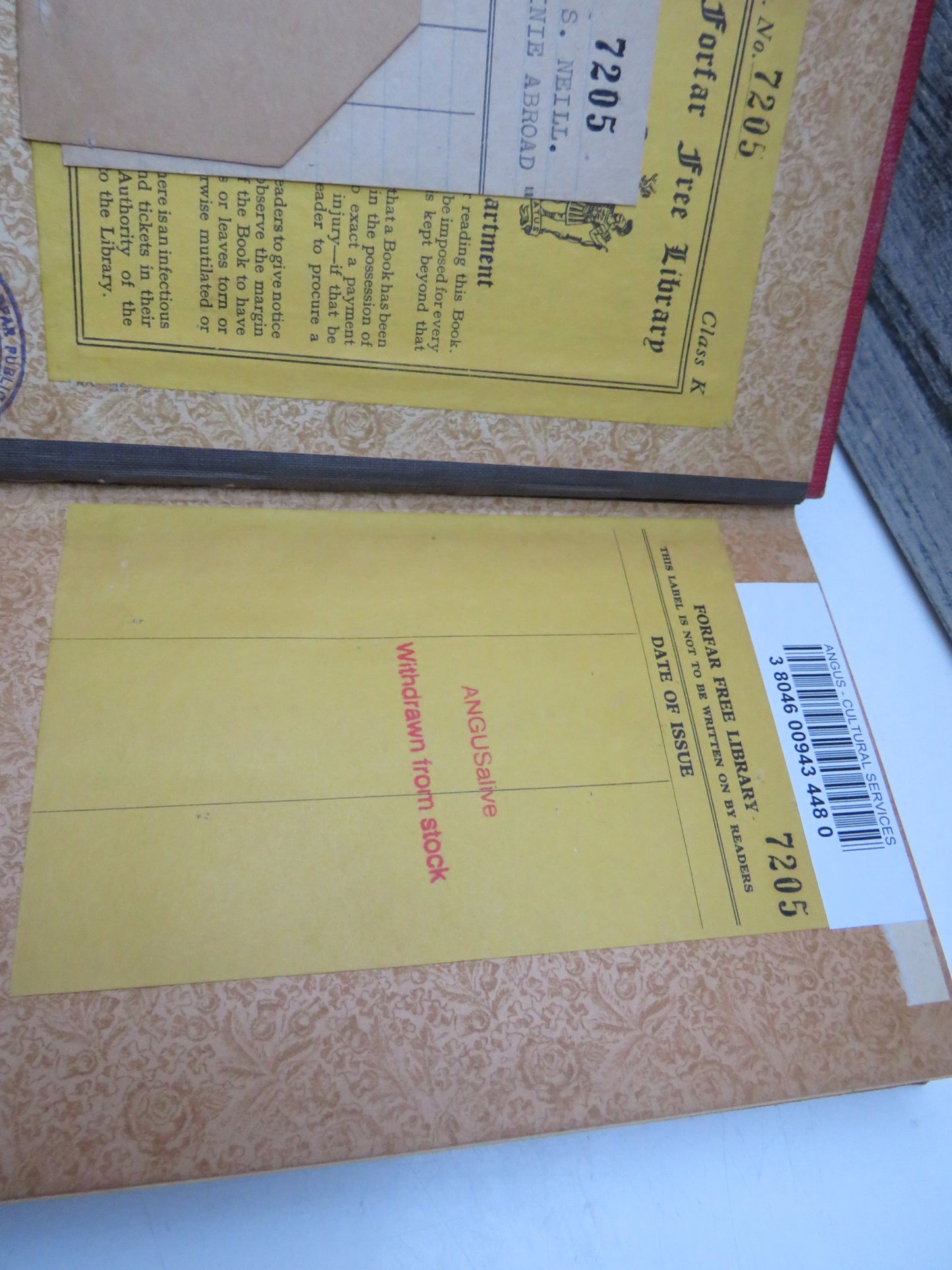 A Dominie Abroad By A.S. Neill book image 3