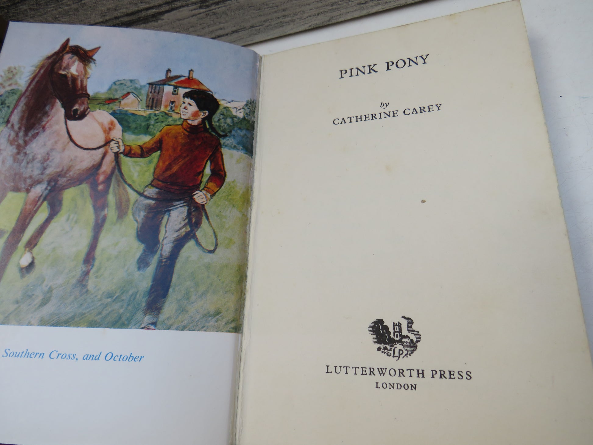 Pink Pony By Catherine Carey 1969 (Vintage Children's Book) book 4