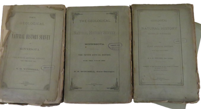 The Geological and Natural History, Survey of Minnesota, by N. H. Winchell, 3 Volumes - First, Ninth book front cover