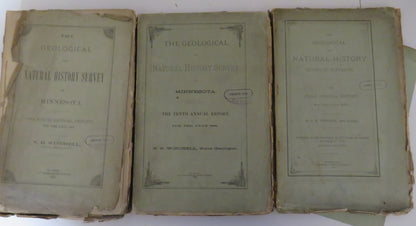 The Geological and Natural History, Survey of Minnesota, by N. H. Winchell, 3 Volumes - First, Ninth book image 2
