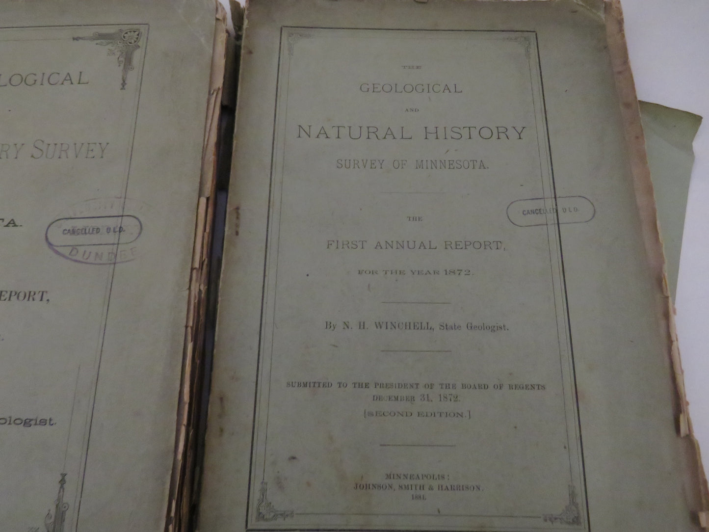 The Geological and Natural History, Survey of Minnesota, by N. H. Winchell, 3 Volumes - First, Ninth, and Tenth Annual Report