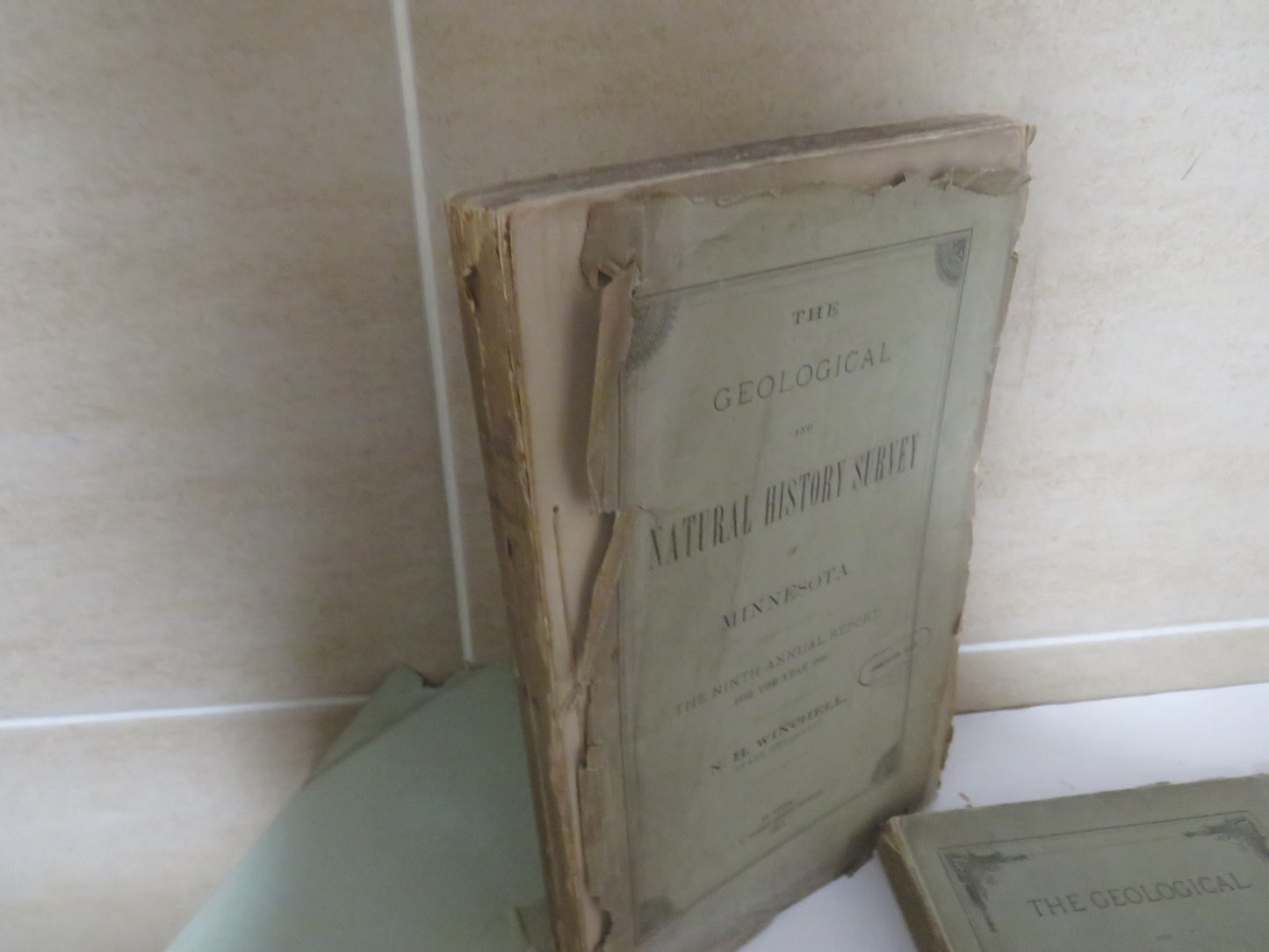 The Geological and Natural History, Survey of Minnesota, by N. H. Winchell, 3 Volumes - First, Ninth, and Tenth Annual Report