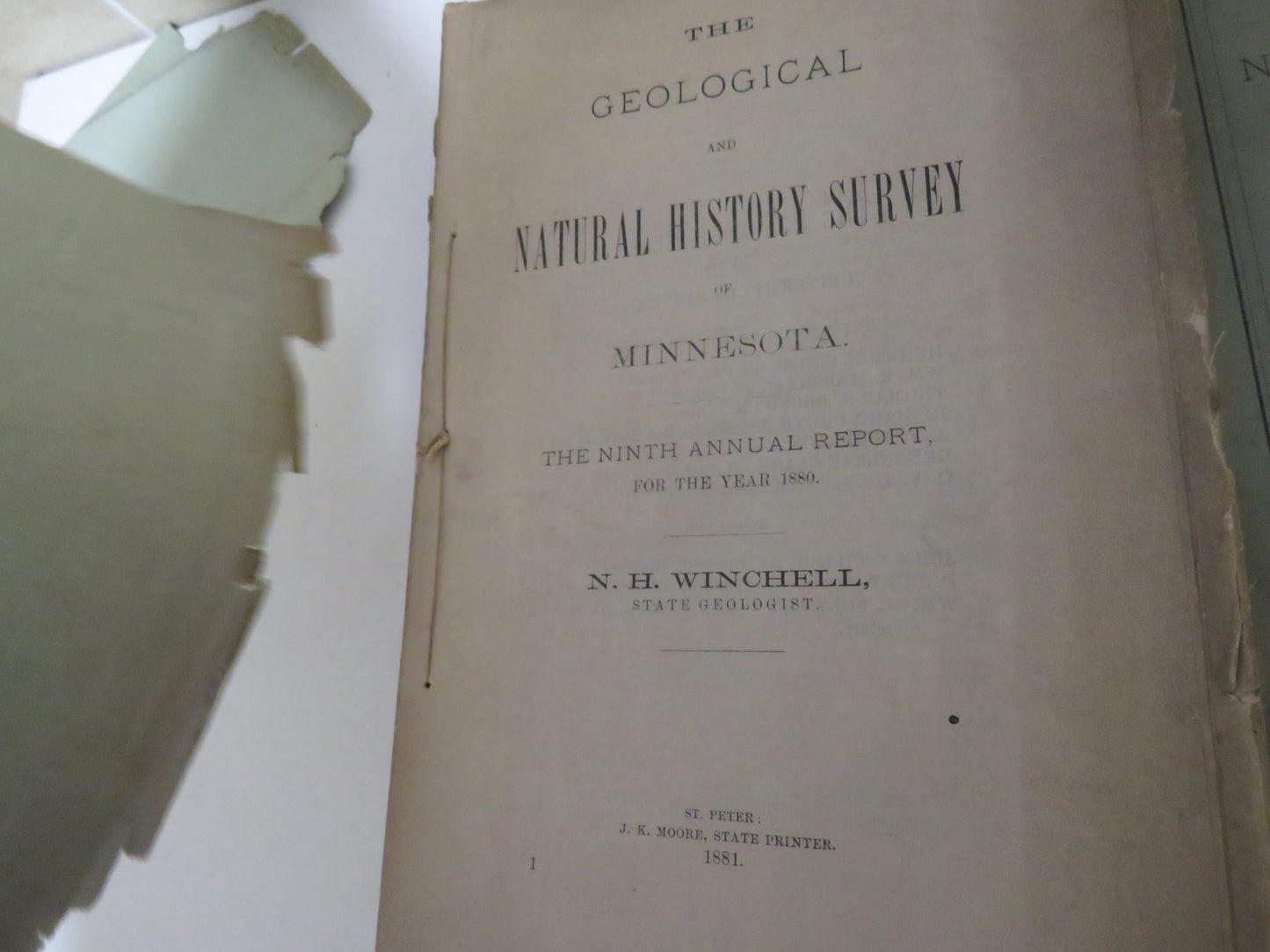 The Geological and Natural History, Survey of Minnesota, by N. H. Winchell, 3 Volumes - First, Ninth, and Tenth Annual Report