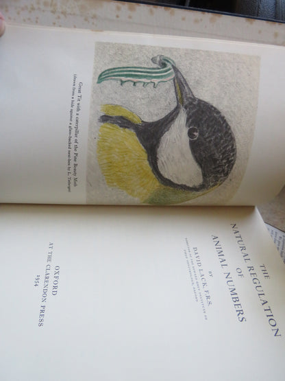 The Natural Regulation of Animal Numbers By David Lack F.R.S 1954 book image 4