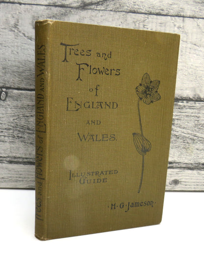 Trees and Flowers of England and Wales Illustrated Guide by H G. Jameson, 1925 book front cover