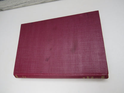 Vienna, Yesterday and Today by J. Alexander Mahan, 1929 book image 2