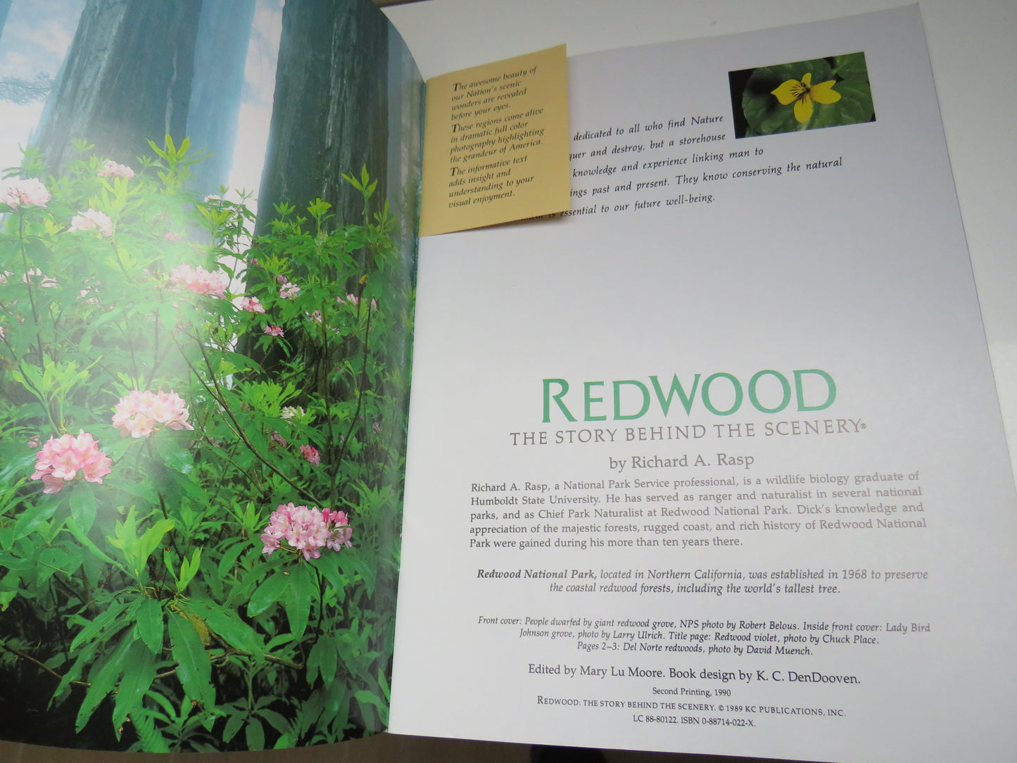 Redwood The Story Behind the Scenery By Richard A. Rasp 1990