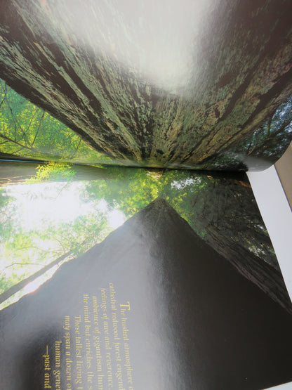 Redwood The Story Behind the Scenery By Richard A. Rasp 1990 book image 4