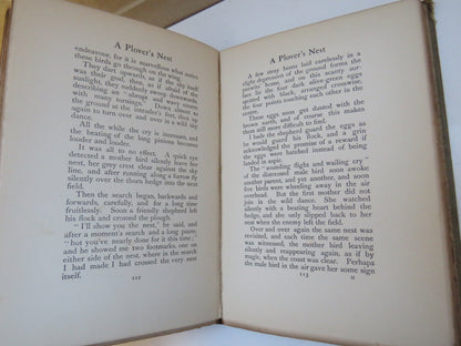 Outside the Garden by Helen Milman, with Illustrations by Edmund H. New, 1900 book image 4