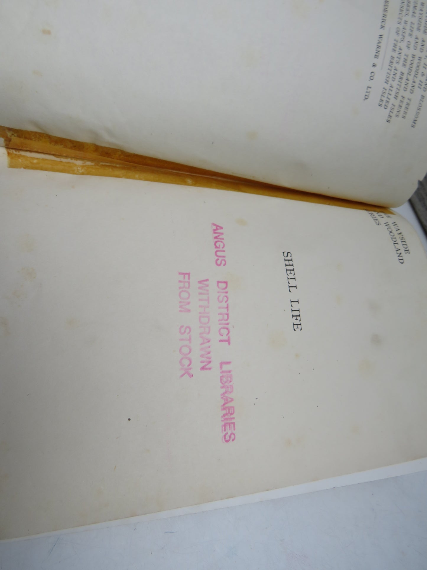 Shell Life, An Introduction to the British Mollusca by Edward Step 1955