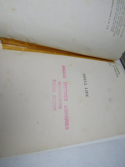 Shell Life, An Introduction to the British Mollusca by Edward Step 1955 book image 4