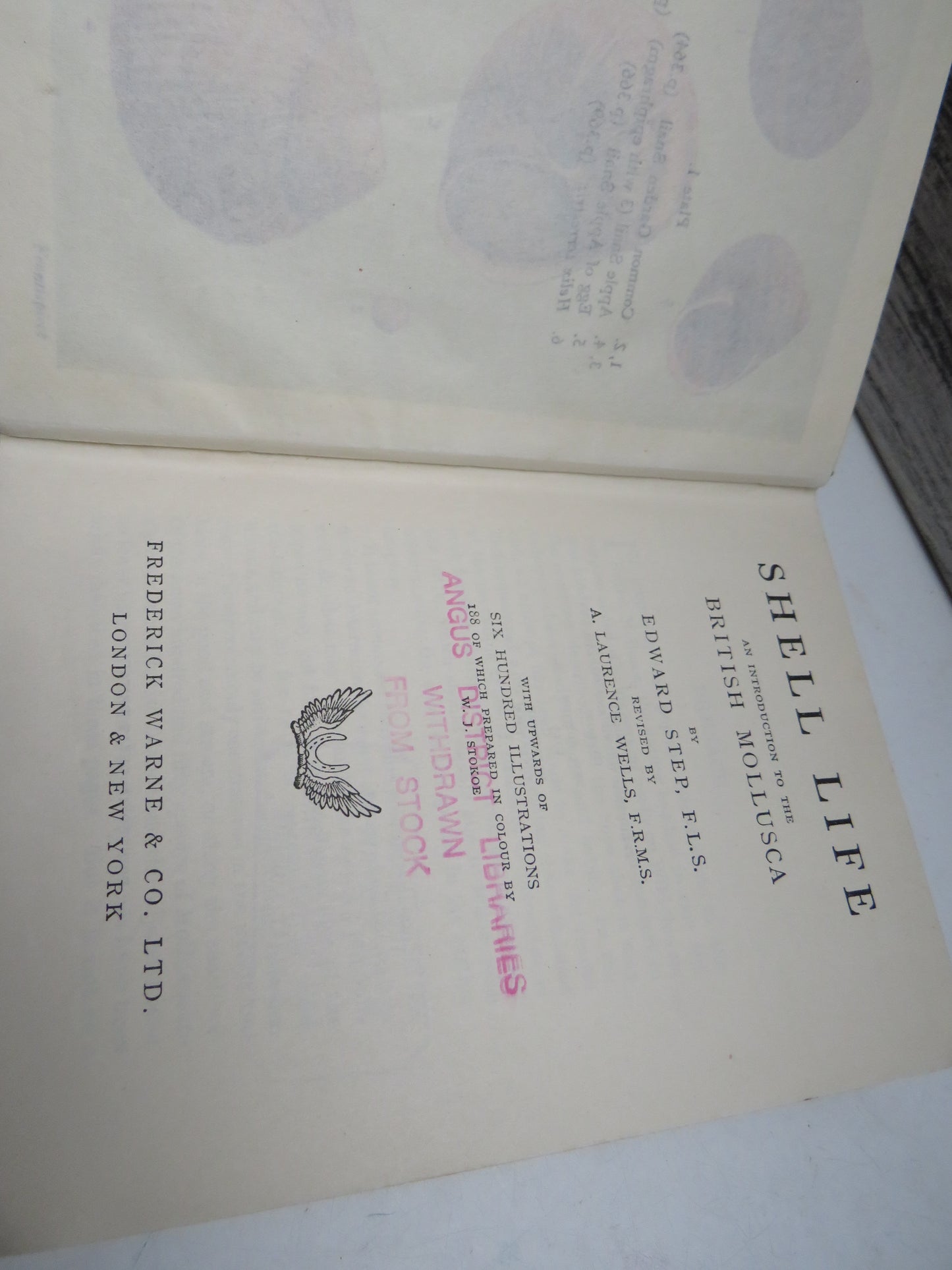 Shell Life, An Introduction to the British Mollusca by Edward Step 1955