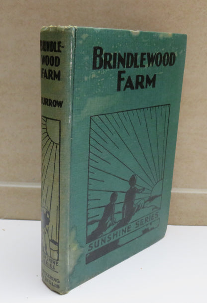 Brindlewood Farm A West Country Tale By S.E.Burrow book image 2