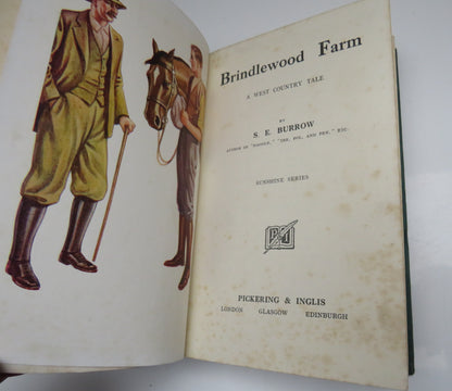 Brindlewood Farm A West Country Tale By S.E.Burrow book image 3