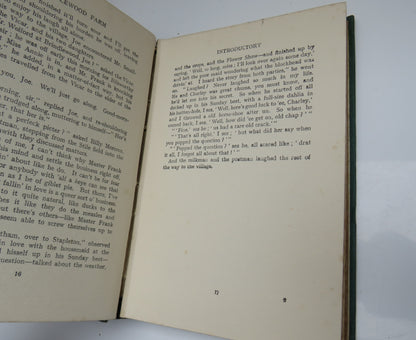 Brindlewood Farm A West Country Tale By S.E.Burrow book image 4