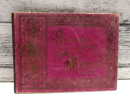 Souvenir of Minnesota - Souvenir Album book front cover