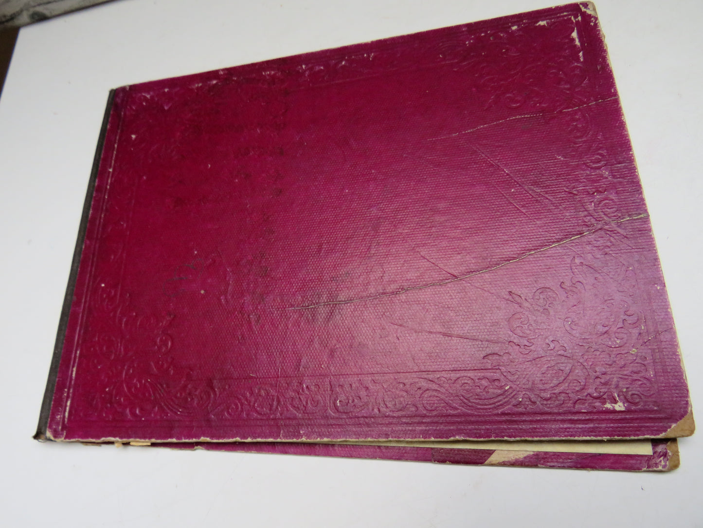 Souvenir of Minnesota - Souvenir Album