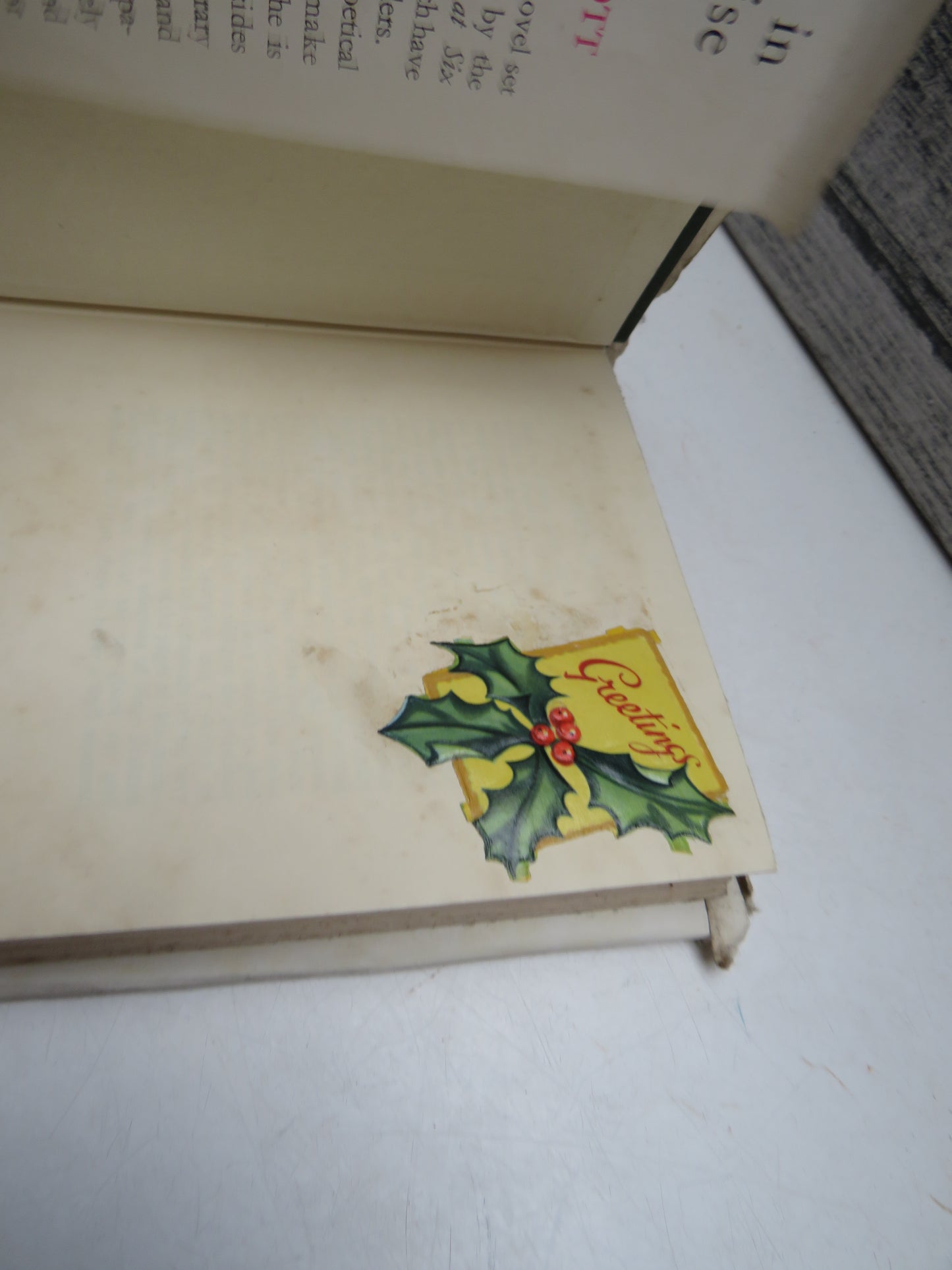 Pippa In Paradise By Mary Scott 1955 1st Edition