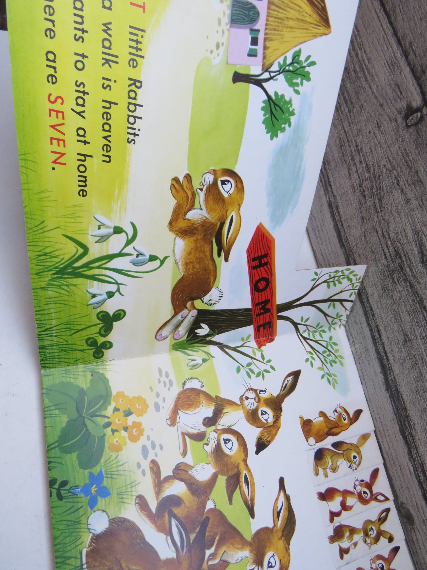 Ten Little Rabbits Vintage Children's Book - Printed In West Germany