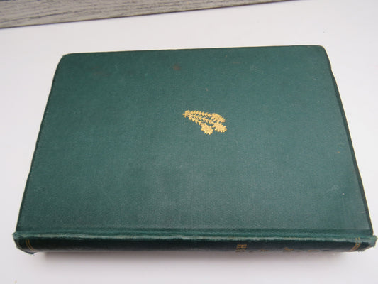 More Leaves From The Journal of A Life In The Highlands From 1862 to 1882 2nd edition 1884