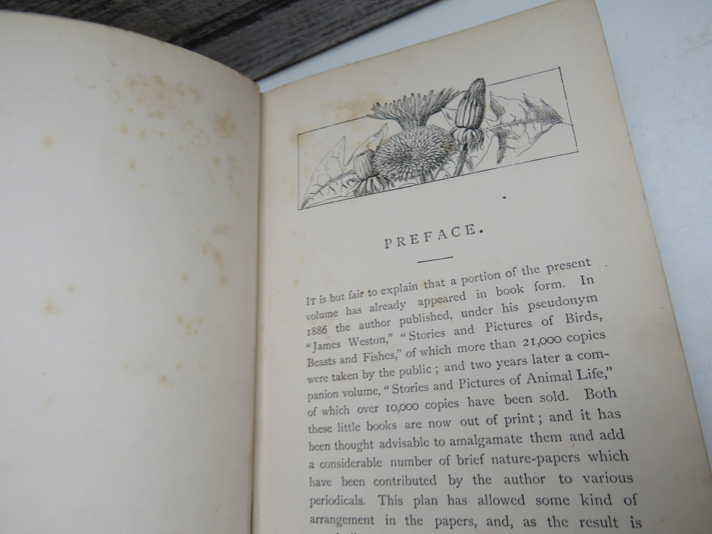 By Sea-Shore, Wood and Moorland Peeps At Nature By Edward Step