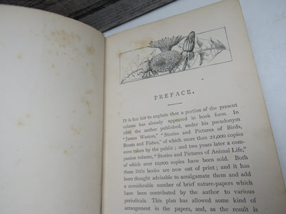 By Sea-Shore, Wood and Moorland Peeps At Nature By Edward Step